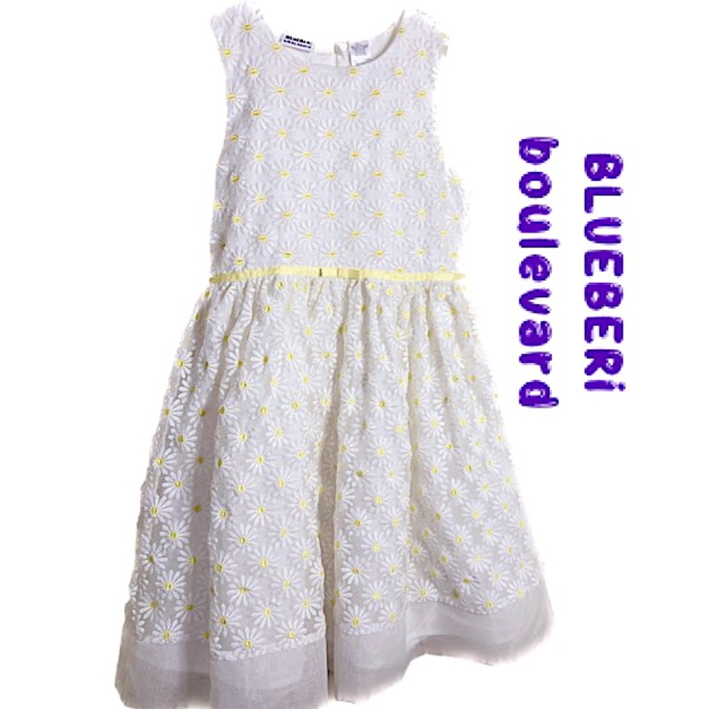 BLUEBERRi boulevard Sheer Daisy Overlay Double-Petticoat Dress Sz14